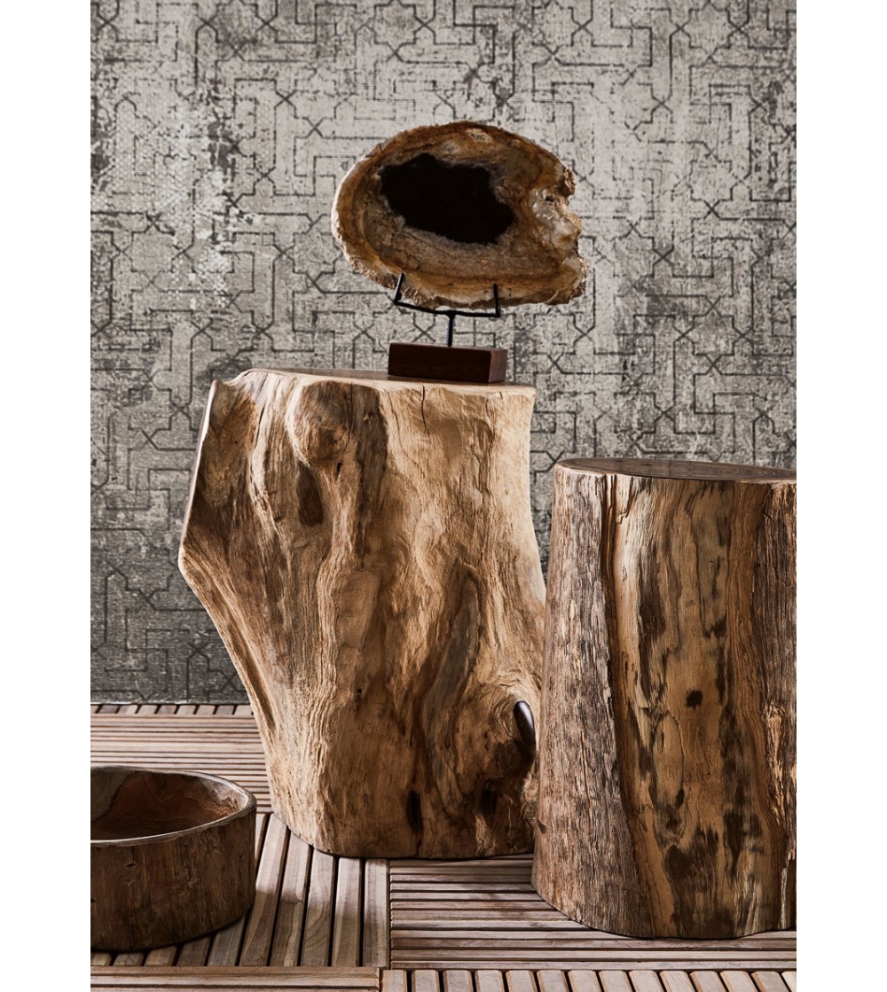 Petrified Wood Decor: Transform Your Space with Timeless Elegance