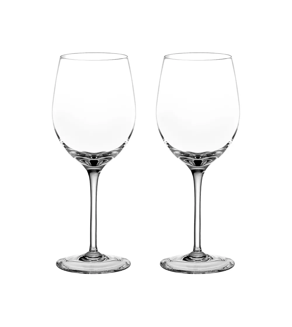 Lot de 2 Verres à Vin Rouge Degustazione - Arnolfo di Cambio