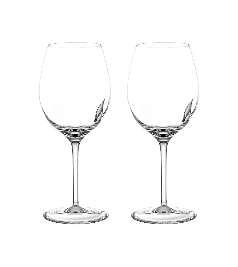 Lot de 2 Verres à Vin Rouge Techniques Degustazione - Arnolfo di Cambio